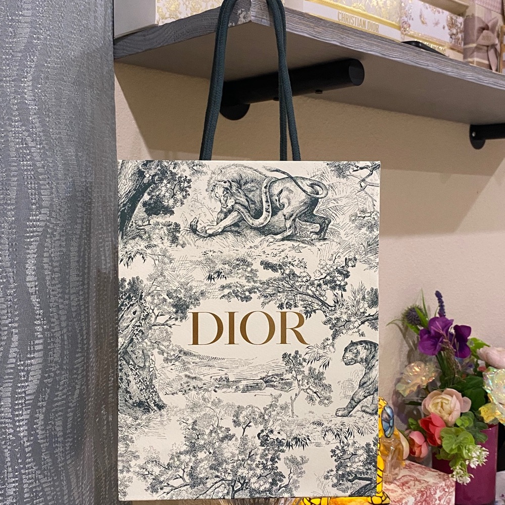 Dior Gift Bag - Limited Edition